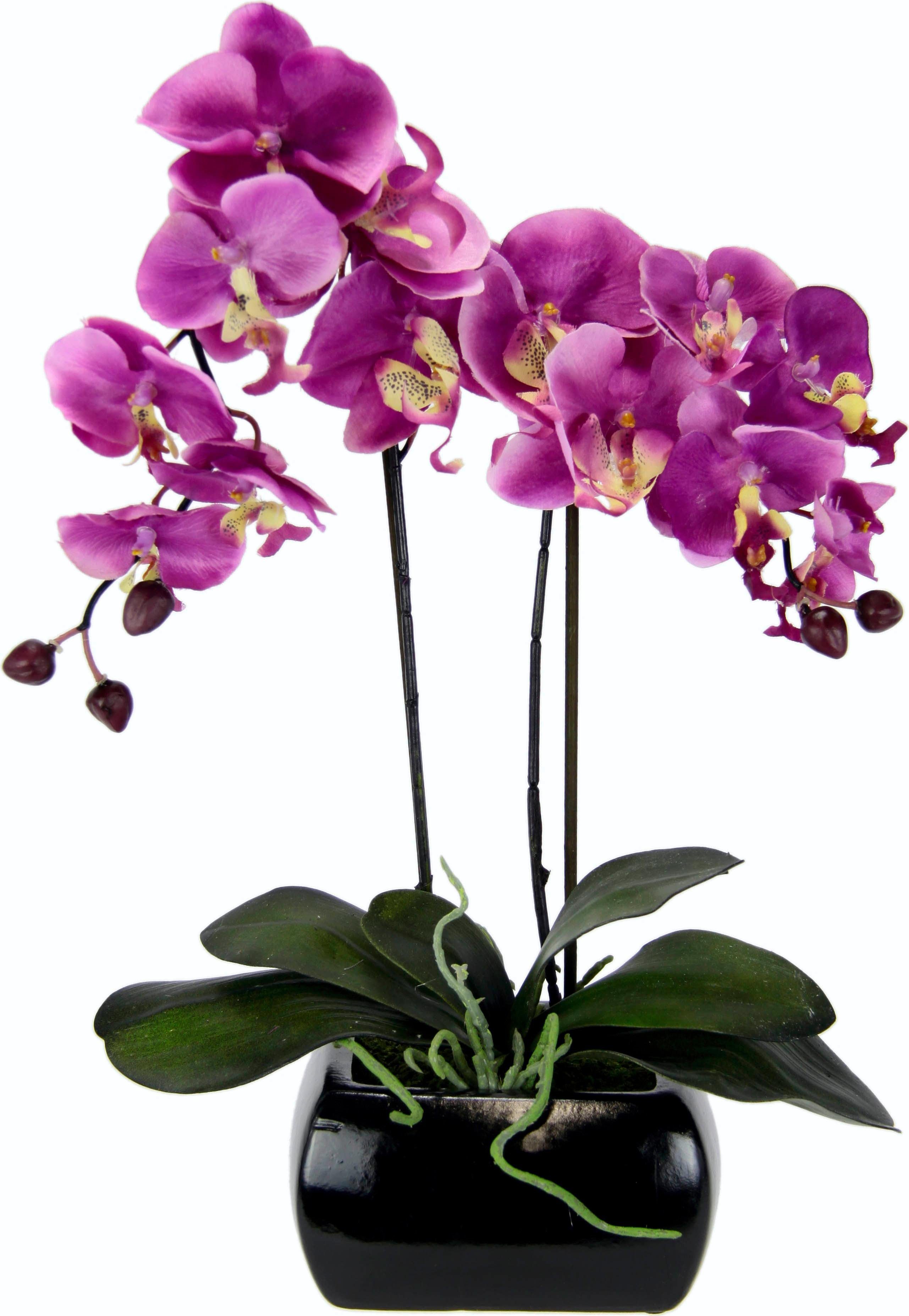 Kunstpflanze Phalaenopsis, I.GE.A., Höhe 58 cm