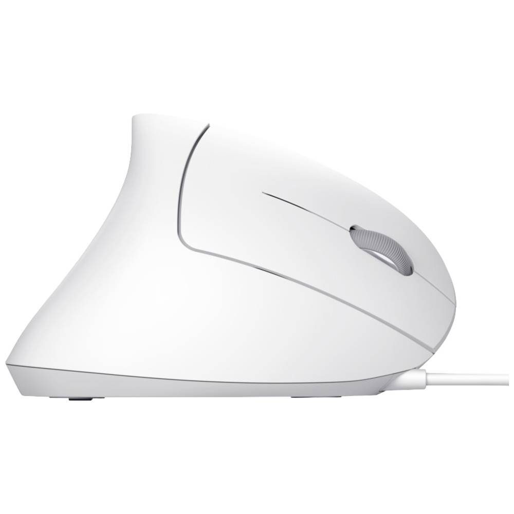 Trust MOUSE WHT 25133 Mäuse (Ergonomisch)