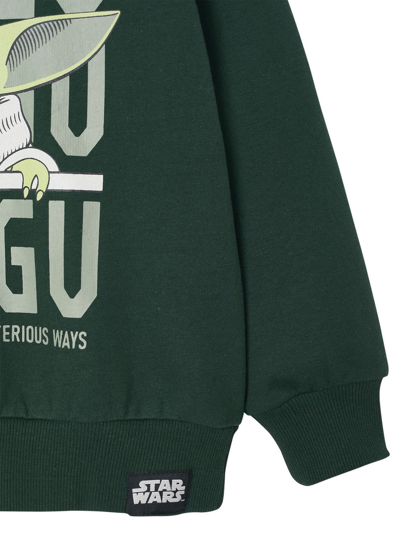 vertbaudet Fleecepullover 1018920001