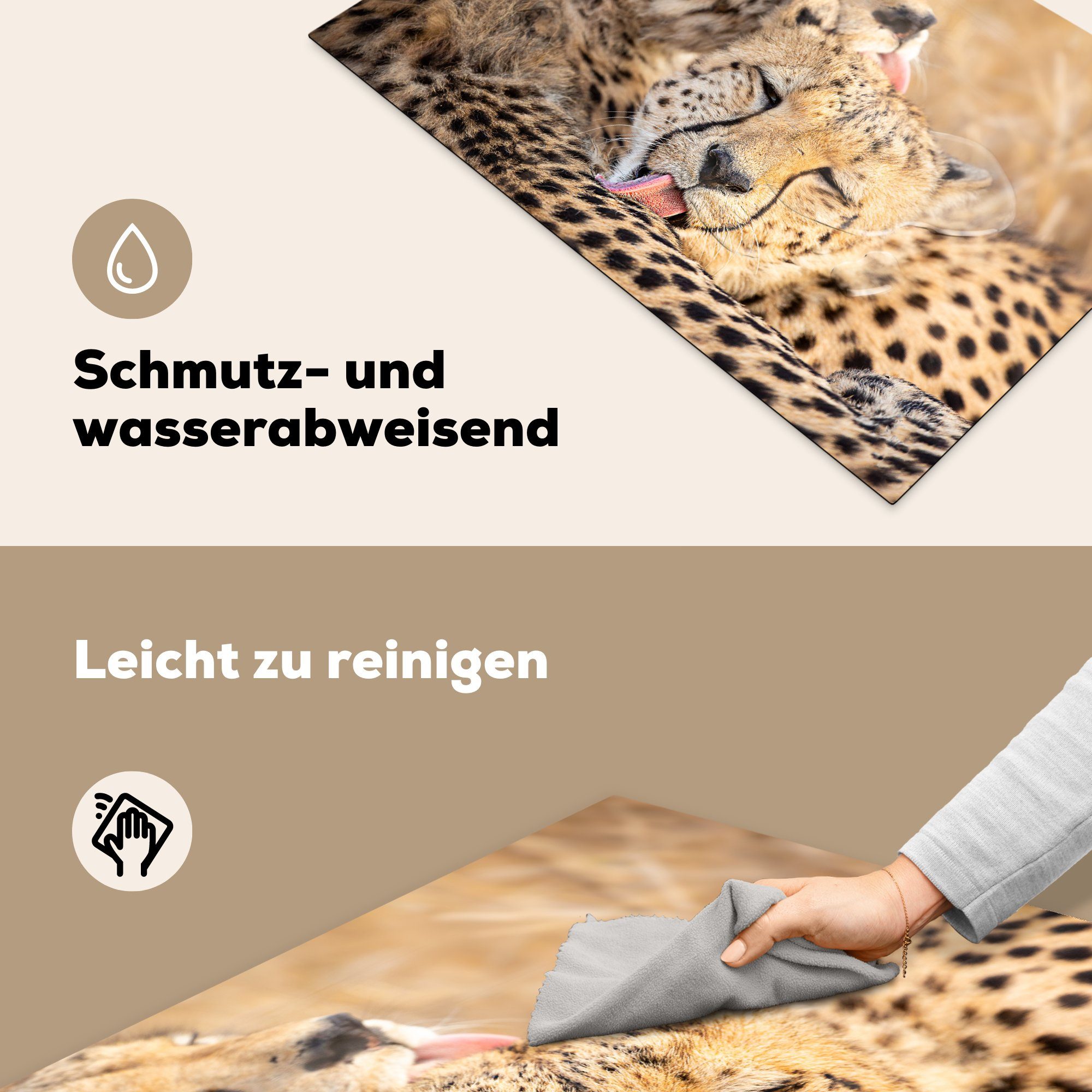 MuchoWow Herdblende-/Abdeckplatte Geparden - Freundschaft Ceranfeldabdeckung küche, (1 cm, Schutz für Tiere, tlg), Vinyl, 81x52 - die Induktionskochfeld