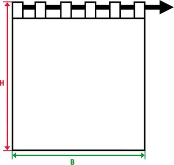 Vorhang Elby 1, andas, Schlaufen (1 St), halbtransparent, Jacquard, transparent, basic, monochrom, bis 295 cm Länge