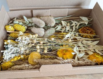 Trockenblume Trockenblumen Deko Box Mix Gelb Natur für DIY Projekte, DekoPanda