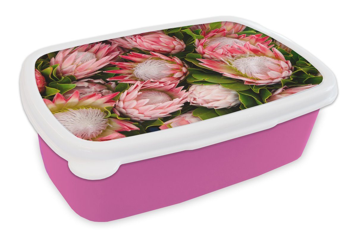 MuchoWow Lunchbox Blumen - Rosa - Protea, Kunststoff, (2-tlg), Brotbox für Erwachsene, Brotdose Kinder, Snackbox, Mädchen, Kunststoff