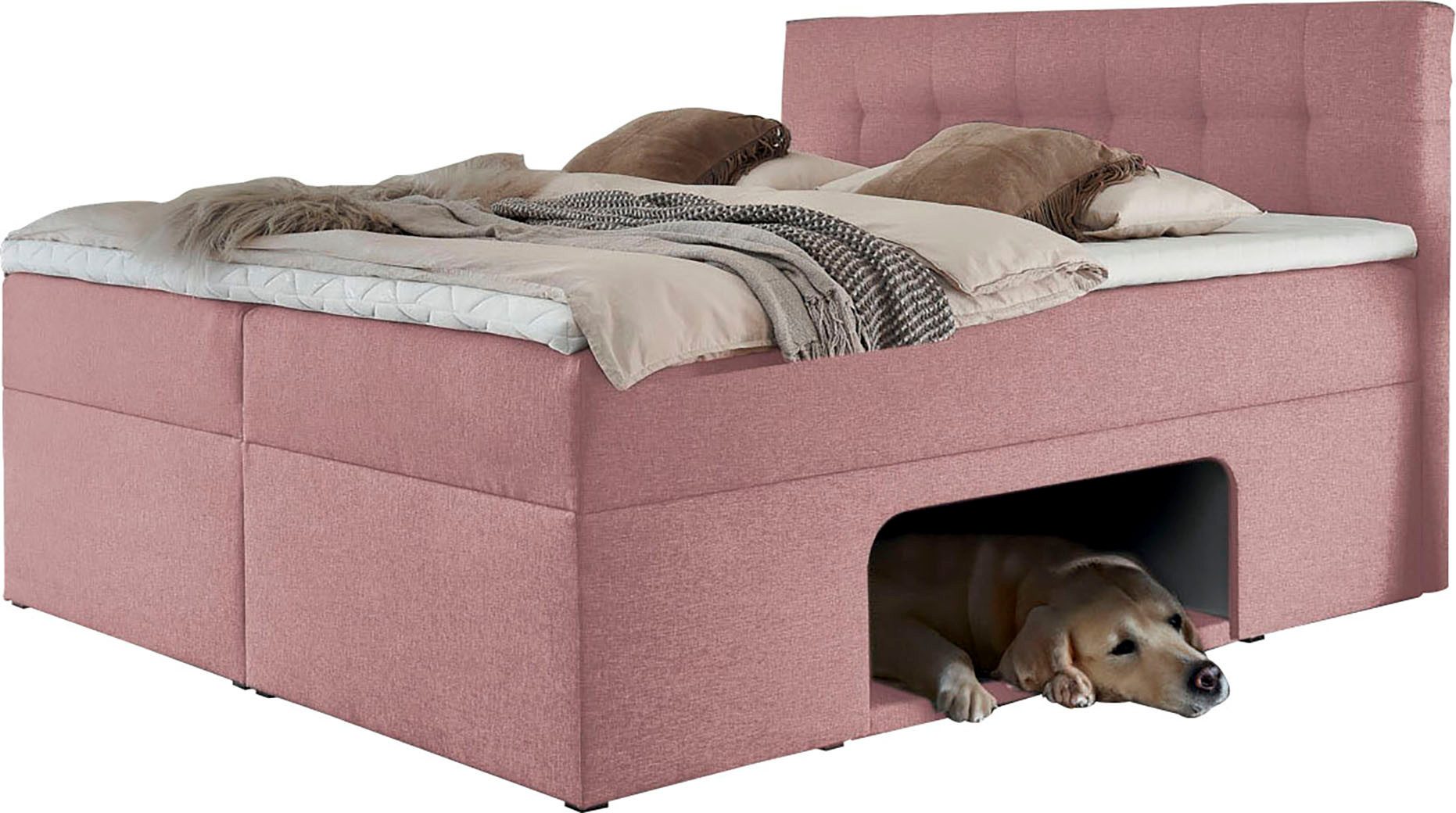 Places of Style Boxbett "Carolin", mit Nische inkl. gepolsterter Unterlage günstig online kaufen
