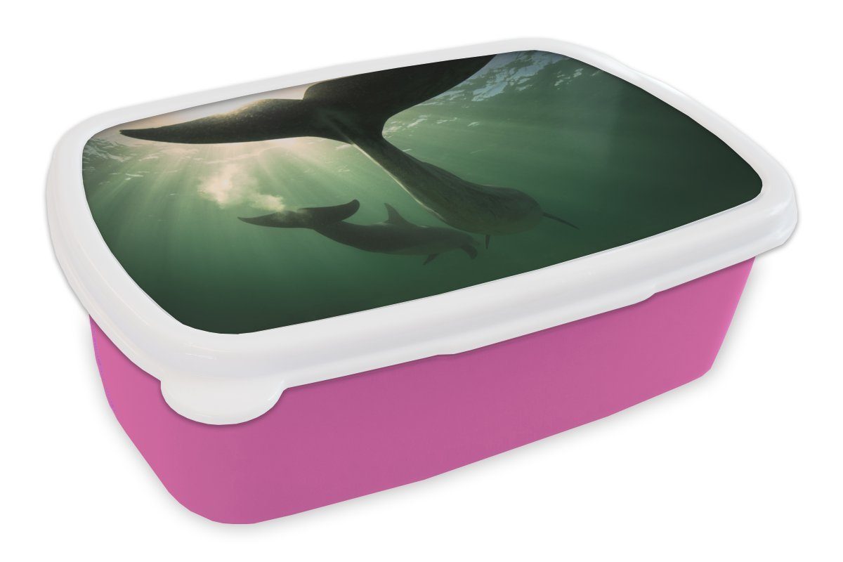 MuchoWow Lunchbox Delfin - Wasser - Blau, Kunststoff, (2-tlg), Brotbox für Erwachsene, Brotdose Kinder, Snackbox, Mädchen, Kunststoff rosa