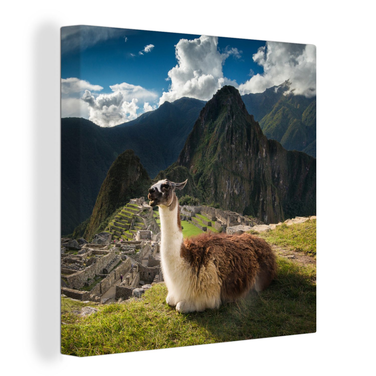 St), Bilder Schlafzimmer Leinwandbild OneMillionCanvasses® Wohnzimmer Alpaka, Picchu Machu für - (1 Peru Leinwand -