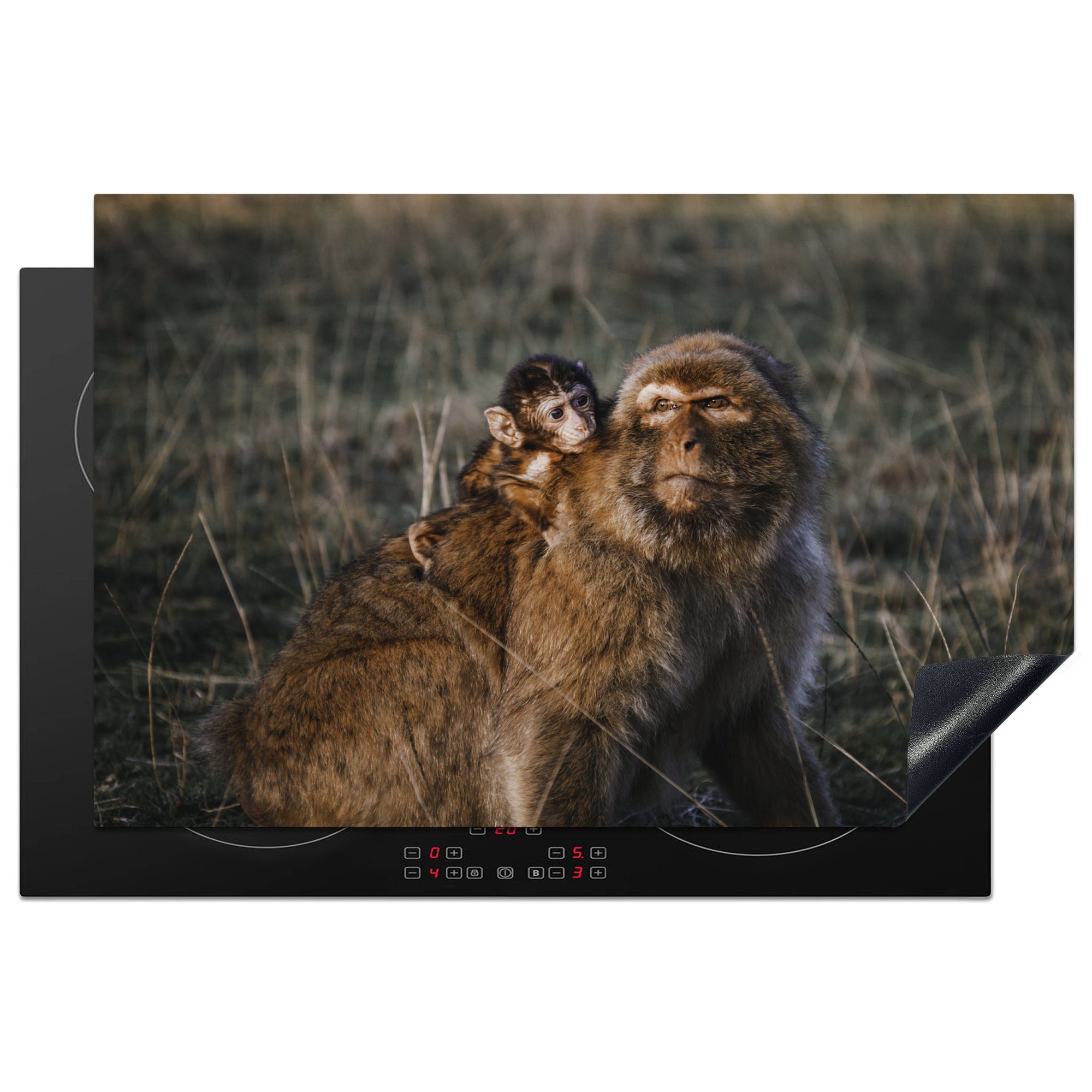 MuchoWow Herdblende-/Abdeckplatte Eine Affenmutter und ihr Baby in der Natur bei Sonnenuntergang, Vinyl, (1 tlg), 81x52 cm, Induktionskochfeld Schutz für die küche, Ceranfeldabdeckung