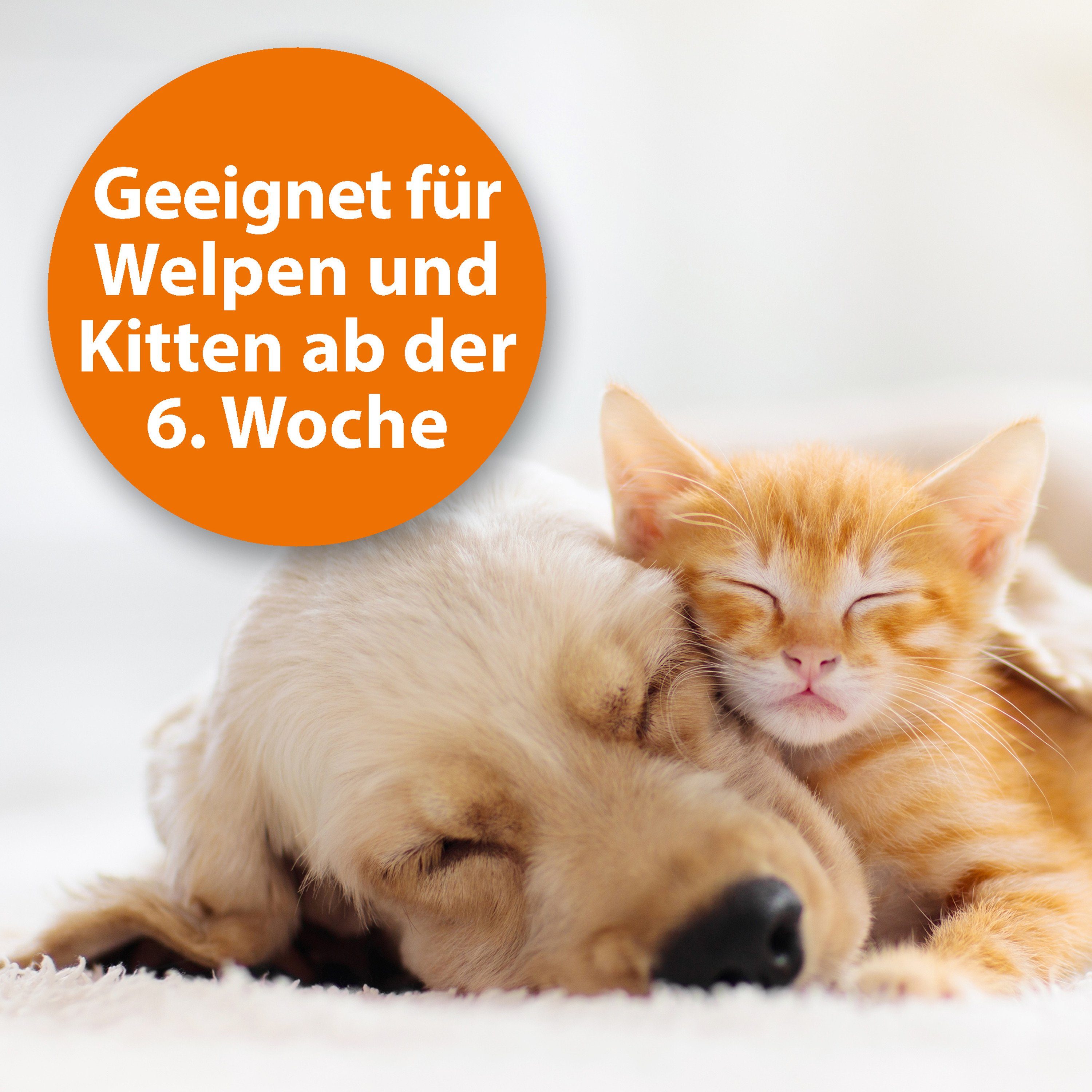 Ardap Insektenspray ARDAP® Flohspray zur Anwendung am Tier 250ml
