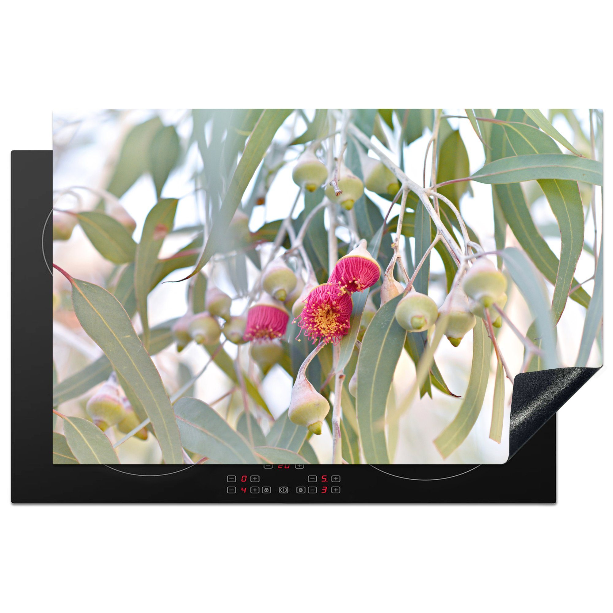 MuchoWow Herdblende-/Abdeckplatte Rosa Eukalyptusblüten inmitten der Blätter, Vinyl, (1 tlg), 81x52 cm, Induktionskochfeld Schutz für die küche, Ceranfeldabdeckung