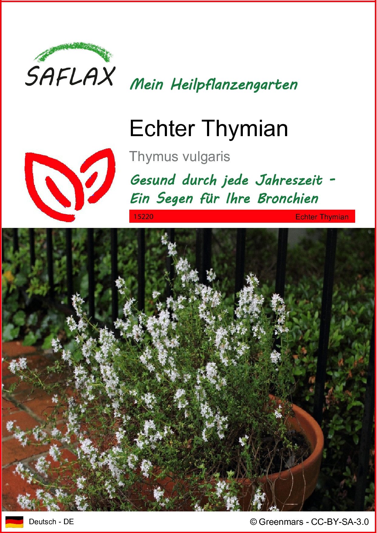SAFLAX Blumensamen SAFLAX - Samen - Echter Thymian