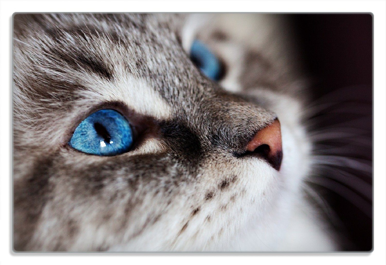 Katze 1-St), blauen Gummifüße 20x30cm Frühstücksbrett Augen, (inkl. 4mm, Wallario mit strahlend rutschfester