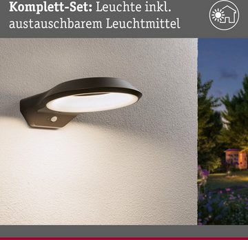 Paulmann LED Außen-Wandleuchte Anela 230V, LED fest integriert, insektenfreundlich