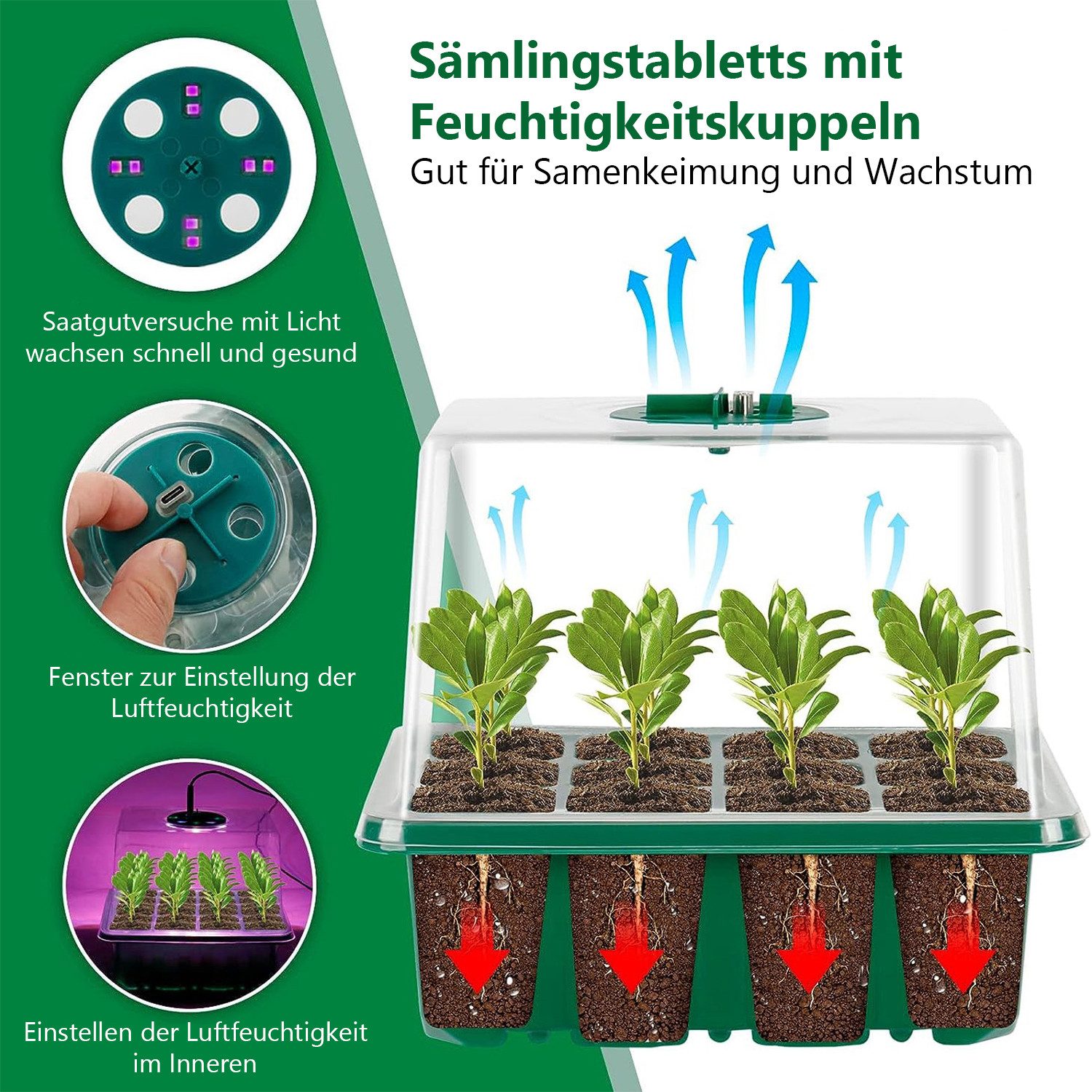 Qualra Gewächshaus Mini Gewächshaus Growbox Komplettset mit Licht Anzucht Gewächshaus, 1-St., Zimmergewächshaus für Balkon Pflanze