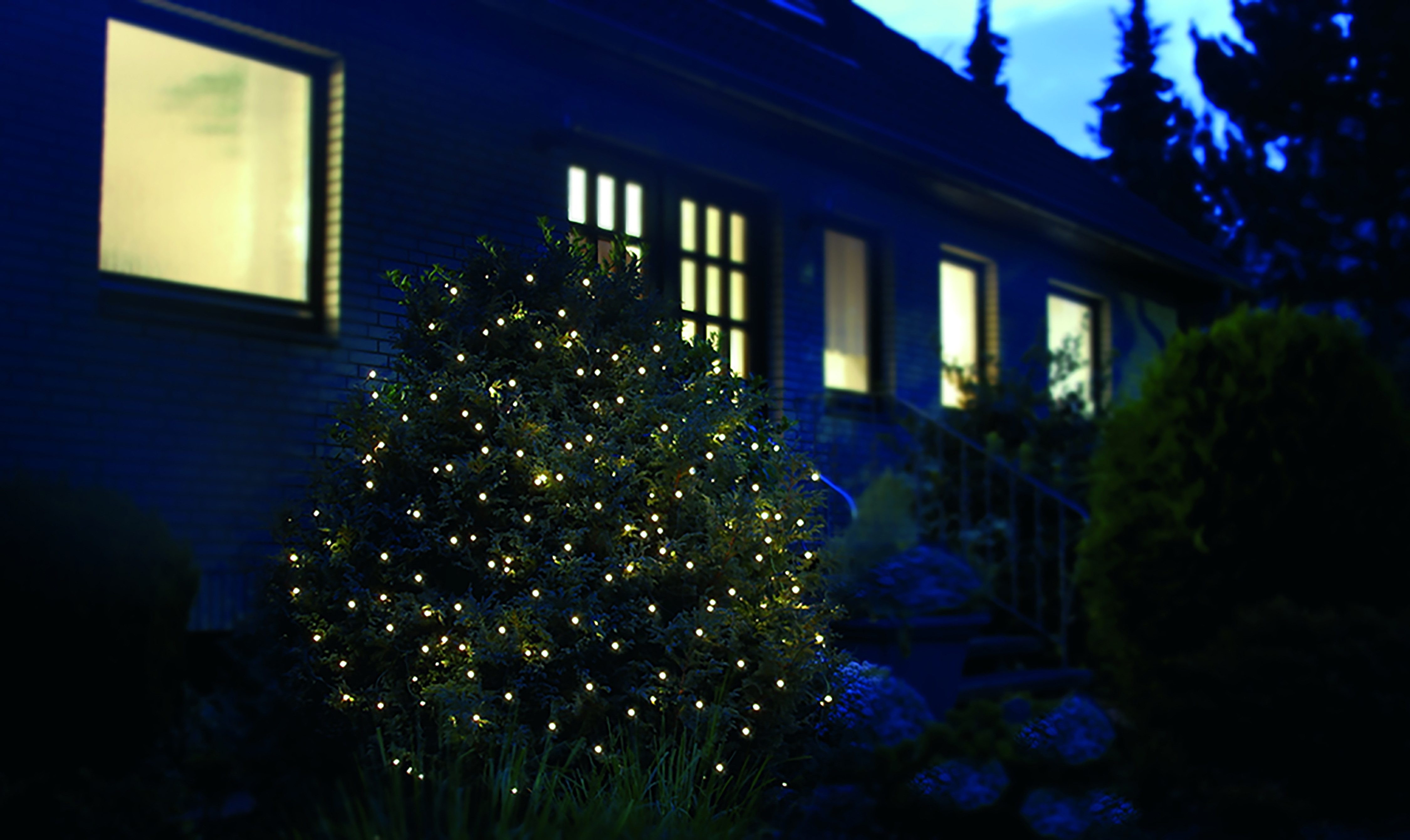 my home LED-Lichternetz Zayda, 2 x günstig online kaufen