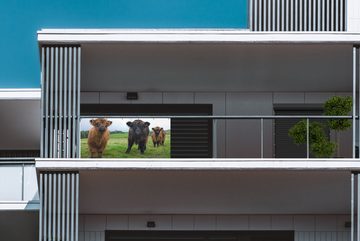 MuchoWow Balkonsichtschutz Schottische Highlander - Kühe - Natur - Grün - Gras (1-St) Balkonbanner, Sichtschutz für den Balkon, Robustes und wetterfest