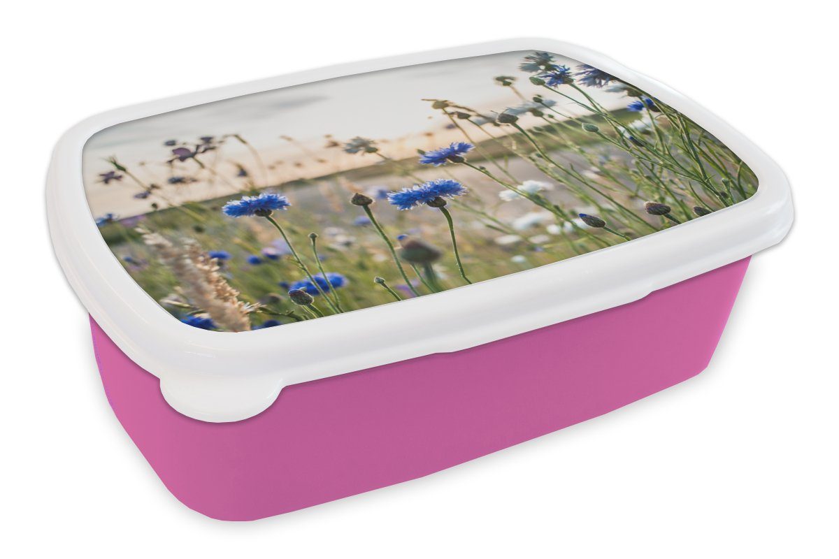 MuchoWow Lunchbox Blumen - Sommer - Kornblume - Blau - Sonne - Wolken, Kunststoff, (2-tlg), Brotbox für Erwachsene, Brotdose Kinder, Snackbox, Mädchen, Kunststoff rosa
