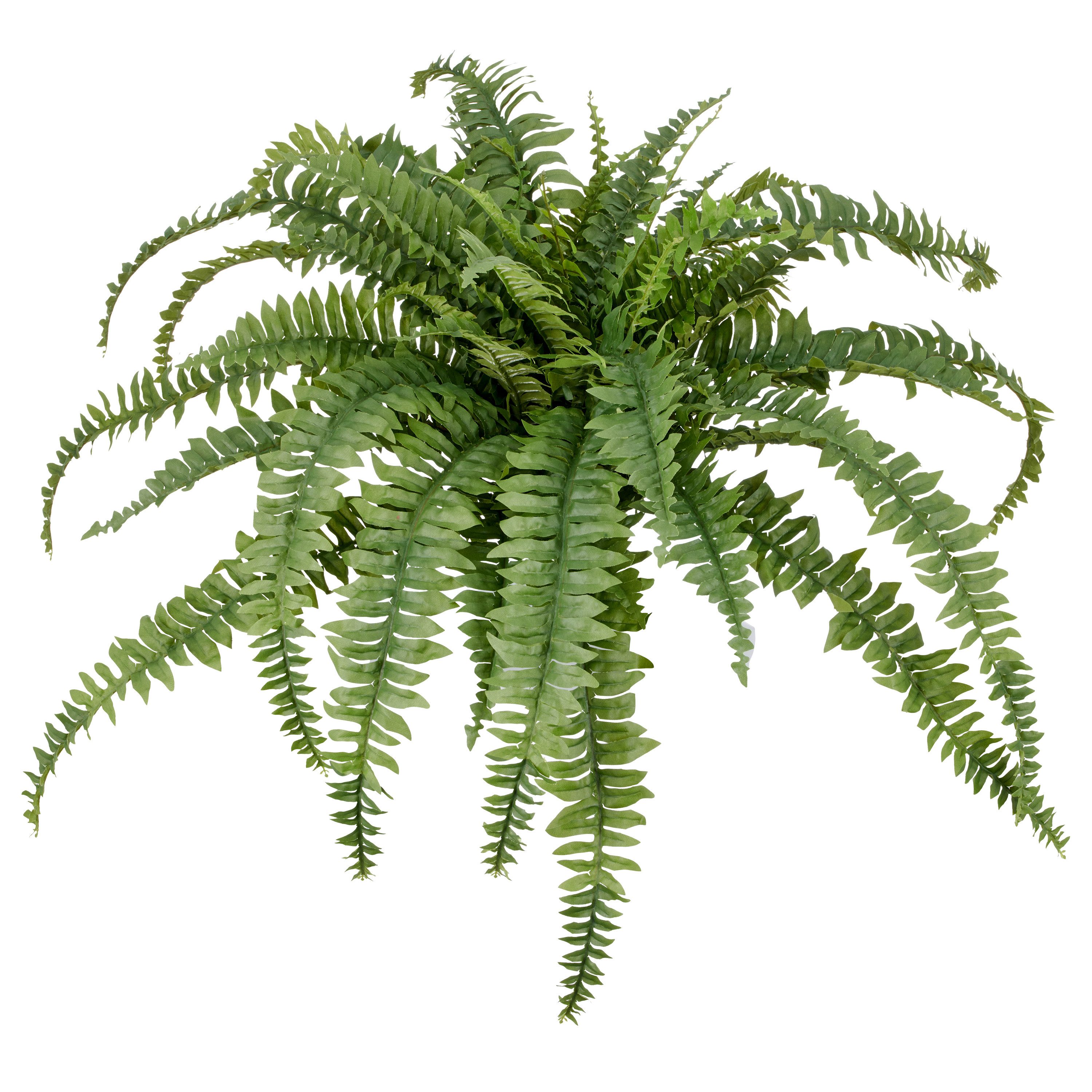 Kunstpflanze Bostonfarn ohne Topf, Creativ green, Höhe 80 cm, mit zahlreich günstig online kaufen