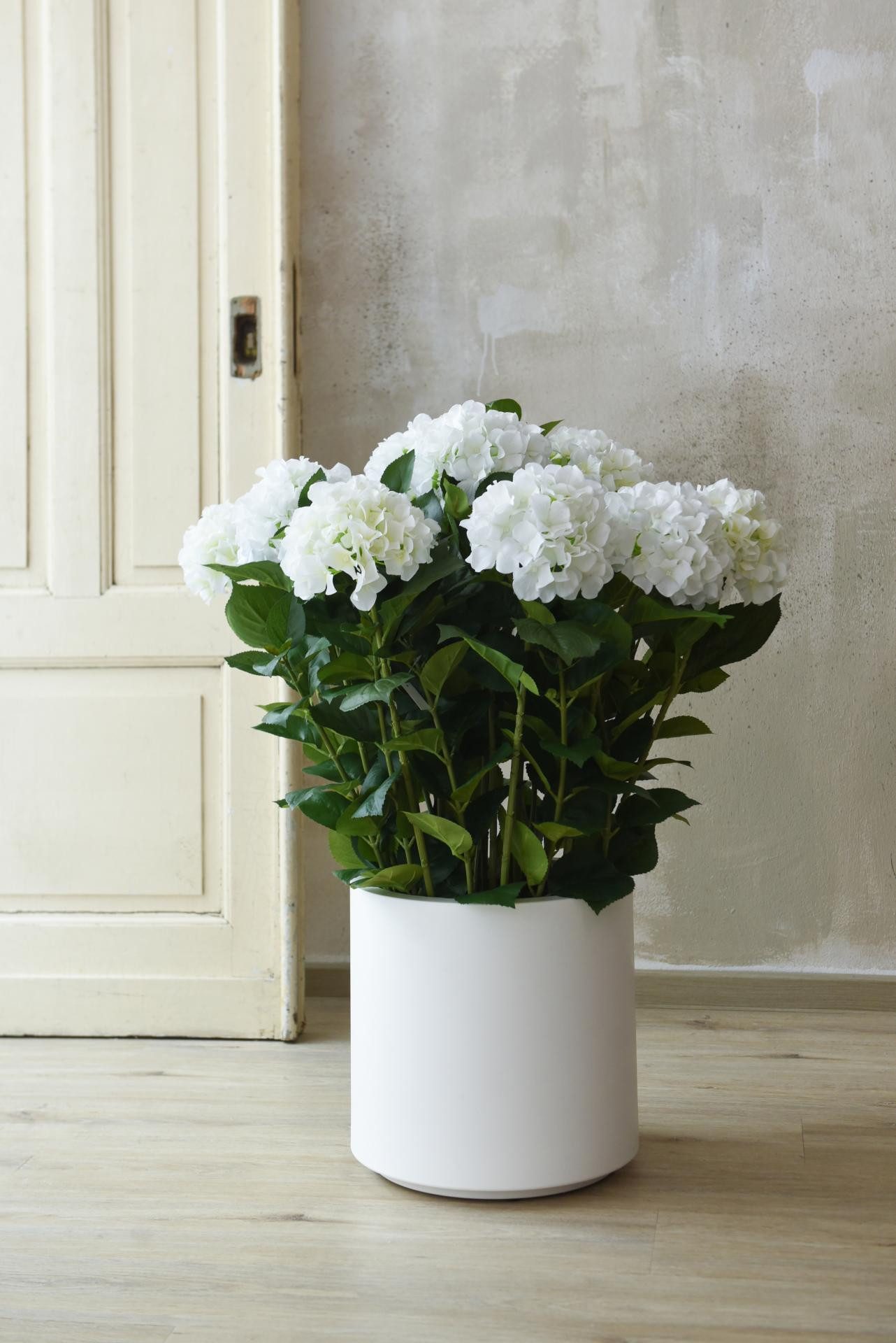 Kunstpflanze Kunststoff HYDRANGEA Organisch - Weiß, günstig online kaufen