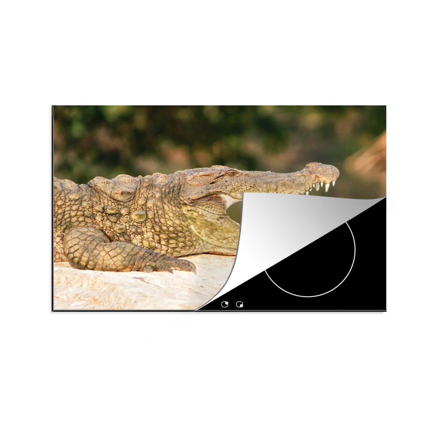 MuchoWow Herdblende-/Abdeckplatte Krokodil - Zähne - Reptilien, Vinyl, (1 tlg), 81x52 cm, Induktionskochfeld Schutz für die küche, Ceranfeldabdeckung