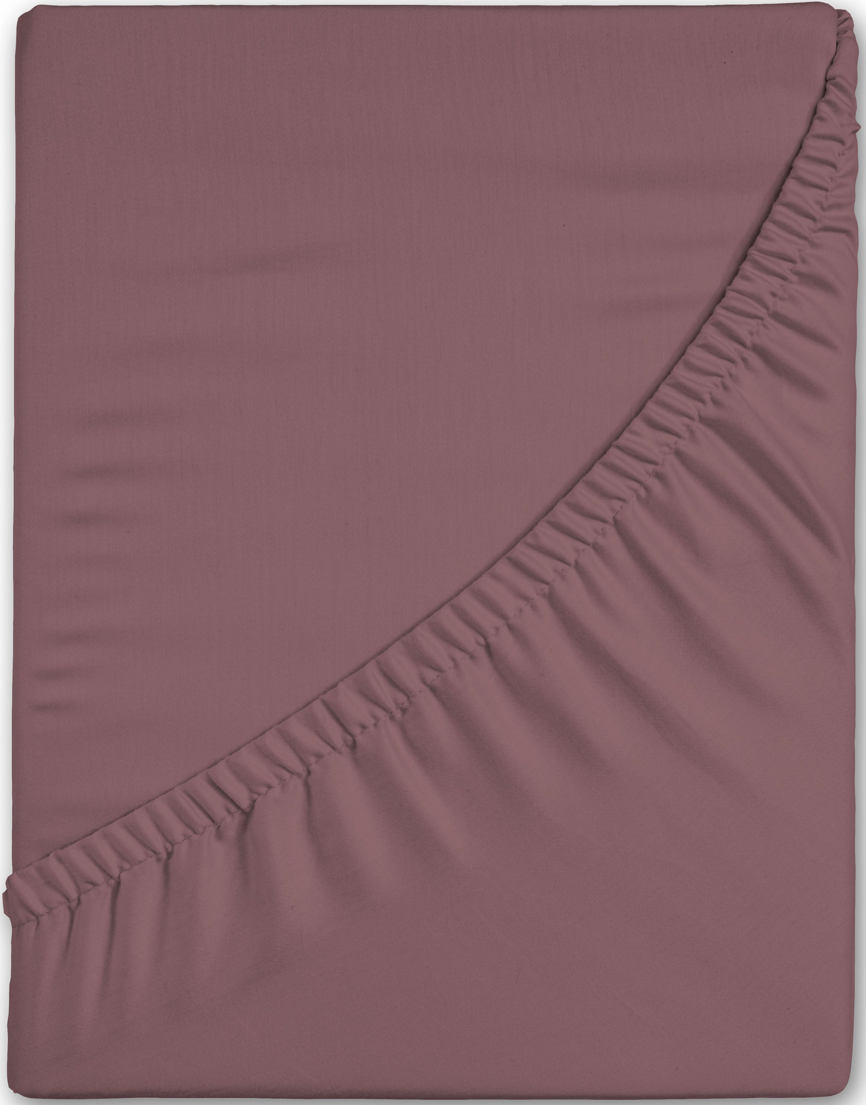 hip Spannbettlaken "Hip in Gr. 90x200, 140x200 oder 180x200 cm" 100% Baumwo günstig online kaufen