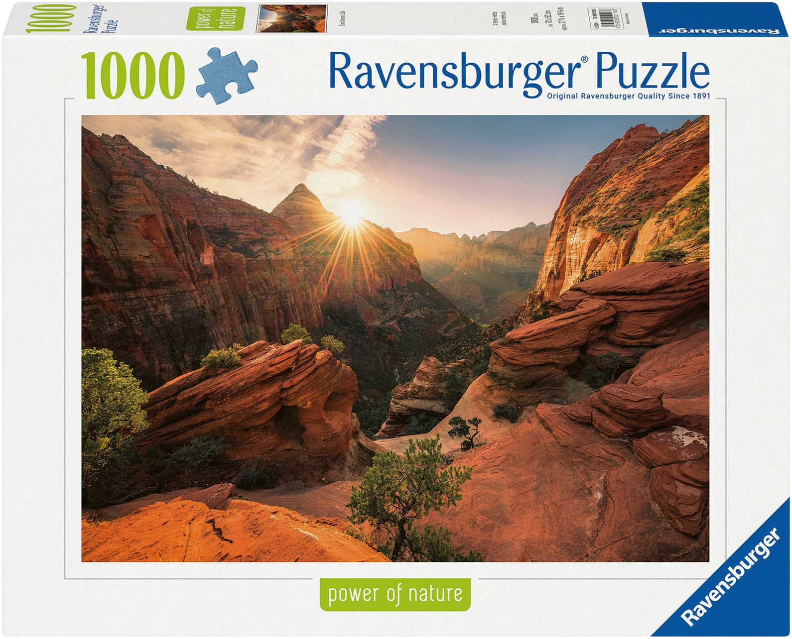Ravensburger Puzzle power of nature, Zion Canyon USA, 1000 Puzzleteile, Mad günstig online kaufen