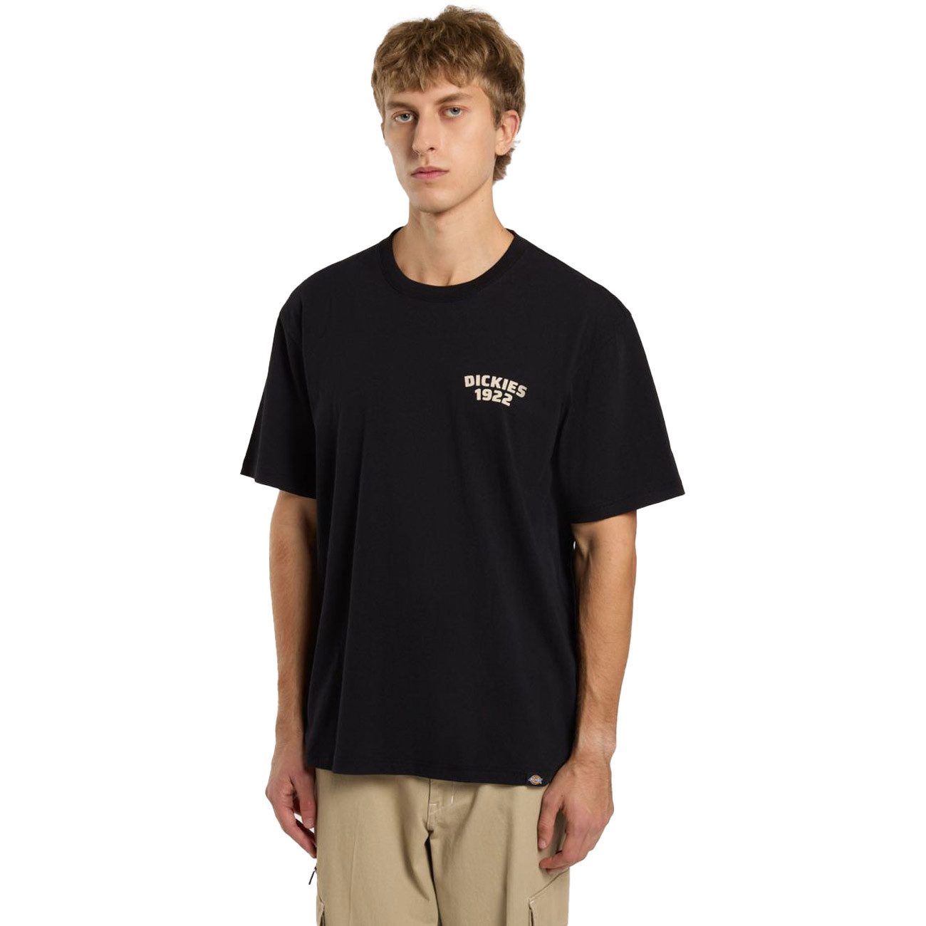 Dickies T-Shirt MECHANIC TEE MECHANIC TEE günstig online kaufen