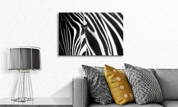 WandbilderXXL Leinwandbild Animal Stripes, Zebra (1 St), Wandbild,in 6 Größen erhältlich