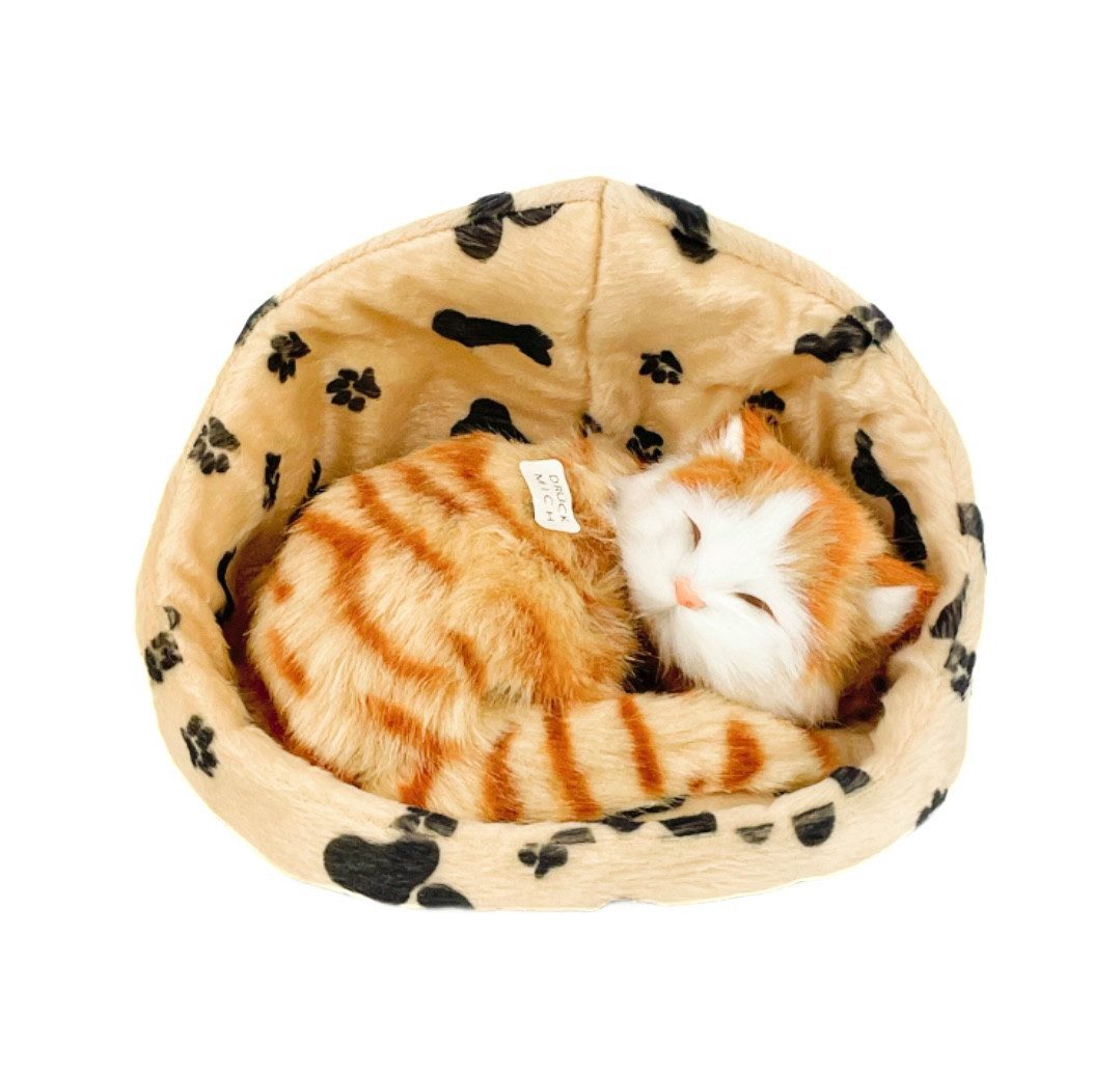 Teddys Rothenburg Kuscheltier Katze im Korb rot 16 cm Plüschkatze günstig online kaufen