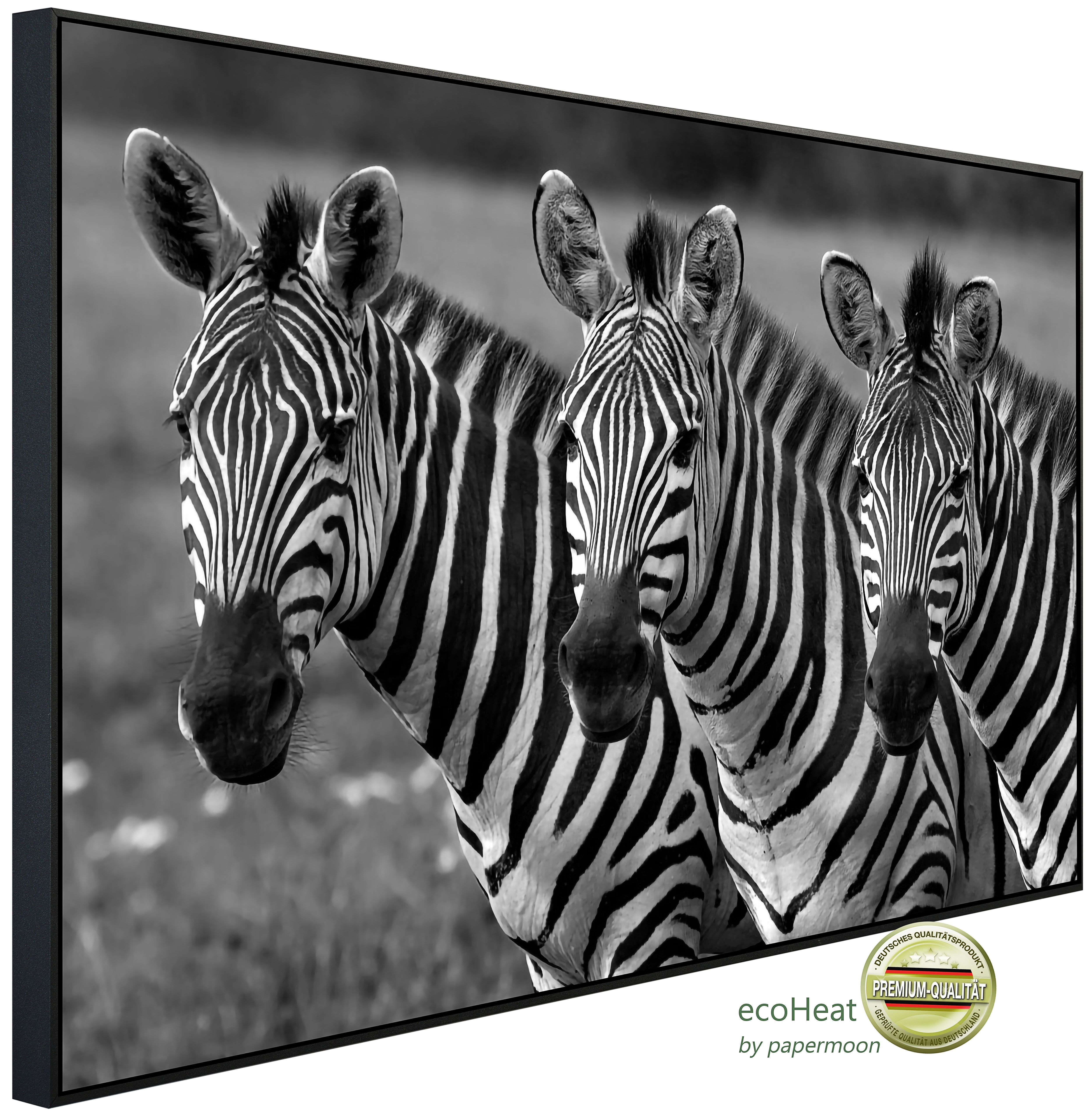 Papermoon Infrarotheizung INFRAROT-BILD-HEIZUNG, Zebras Schwarz & Weiß, TÜV-Rheinland/GS zertifiziert, angenehme Strahlungswärme