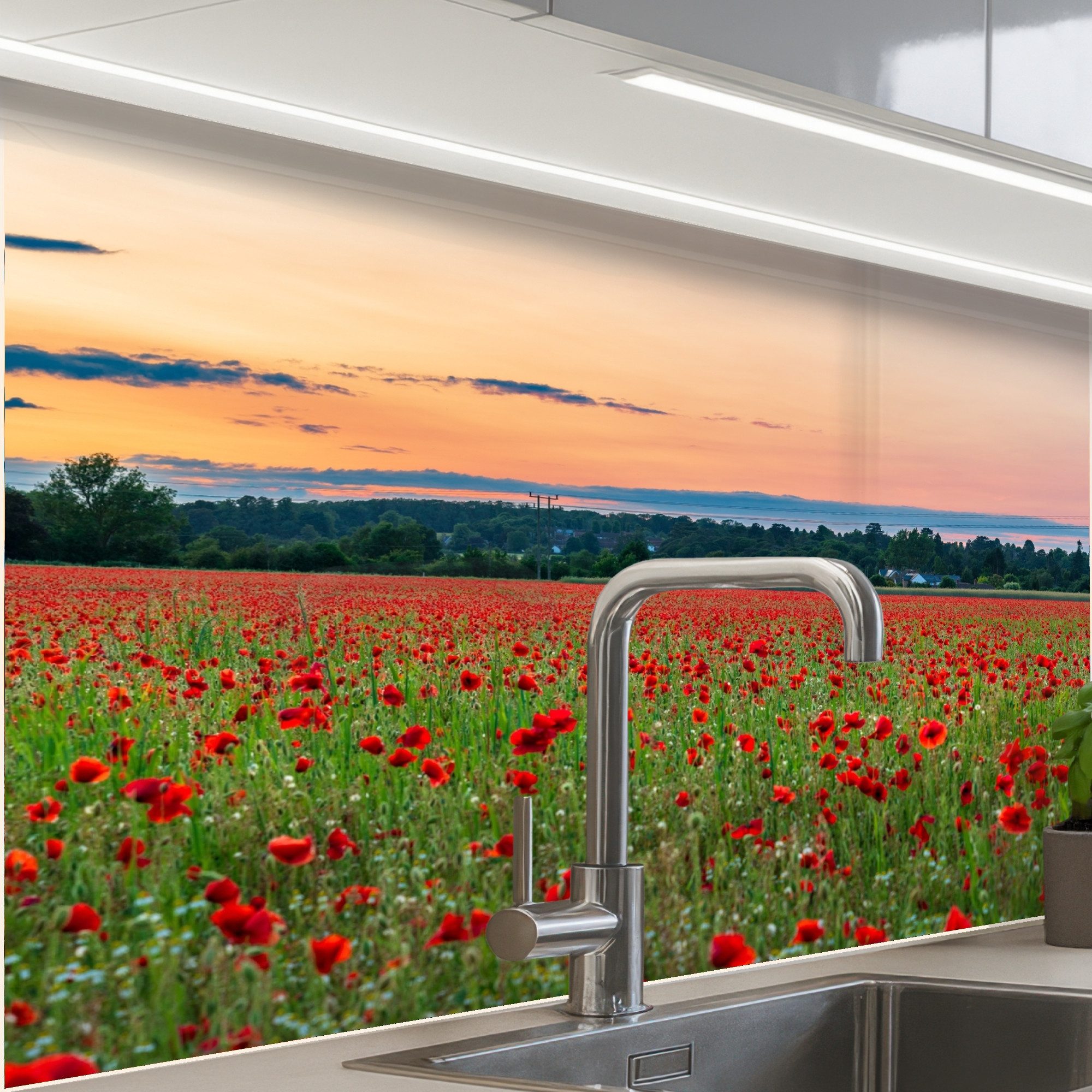 KitchenYeah Küchenrückwand selbstklebend Mohnblumen - Landschaft - Rot - Bl günstig online kaufen
