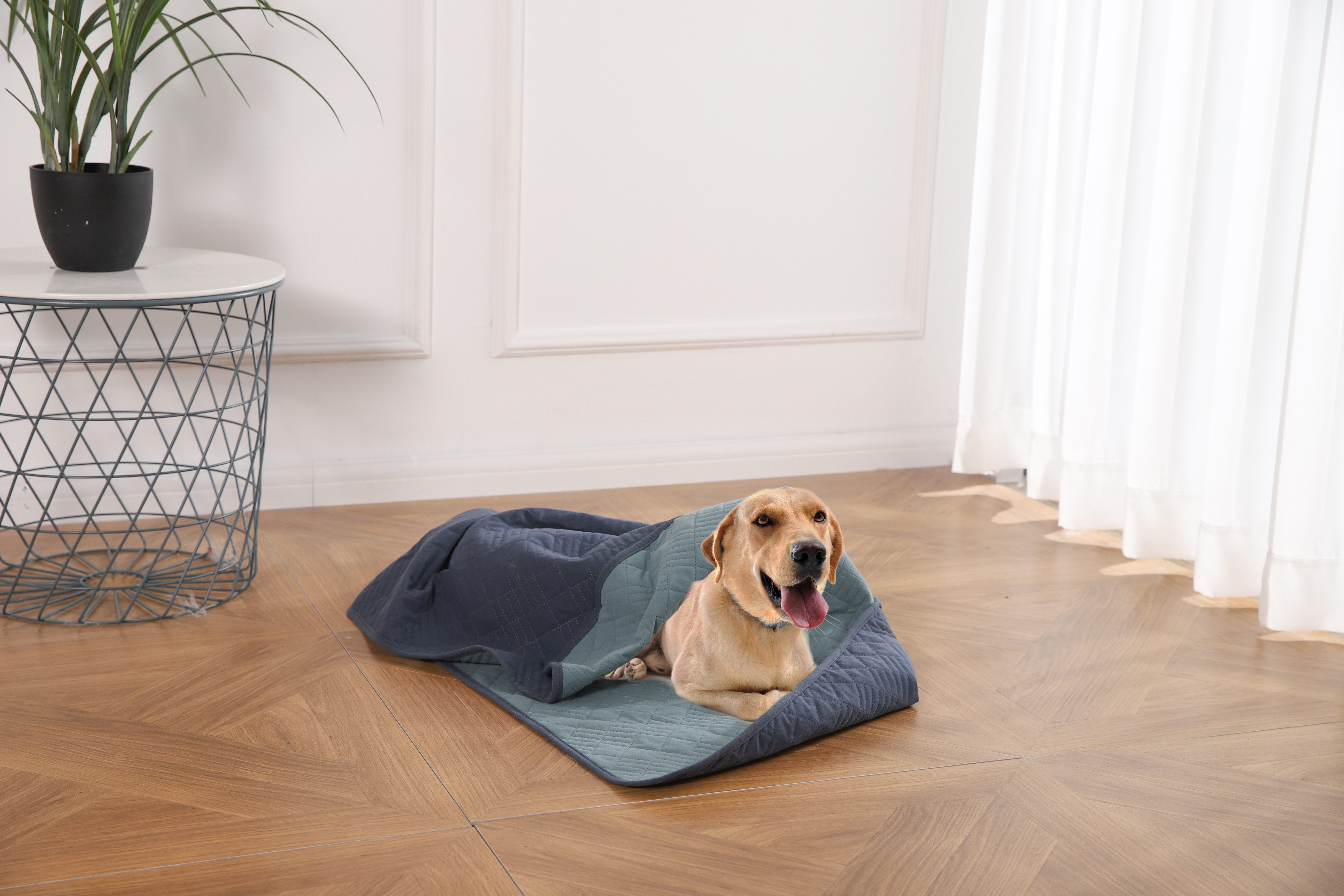 HEIM Tierdecke Heimtierdecke "Forest"