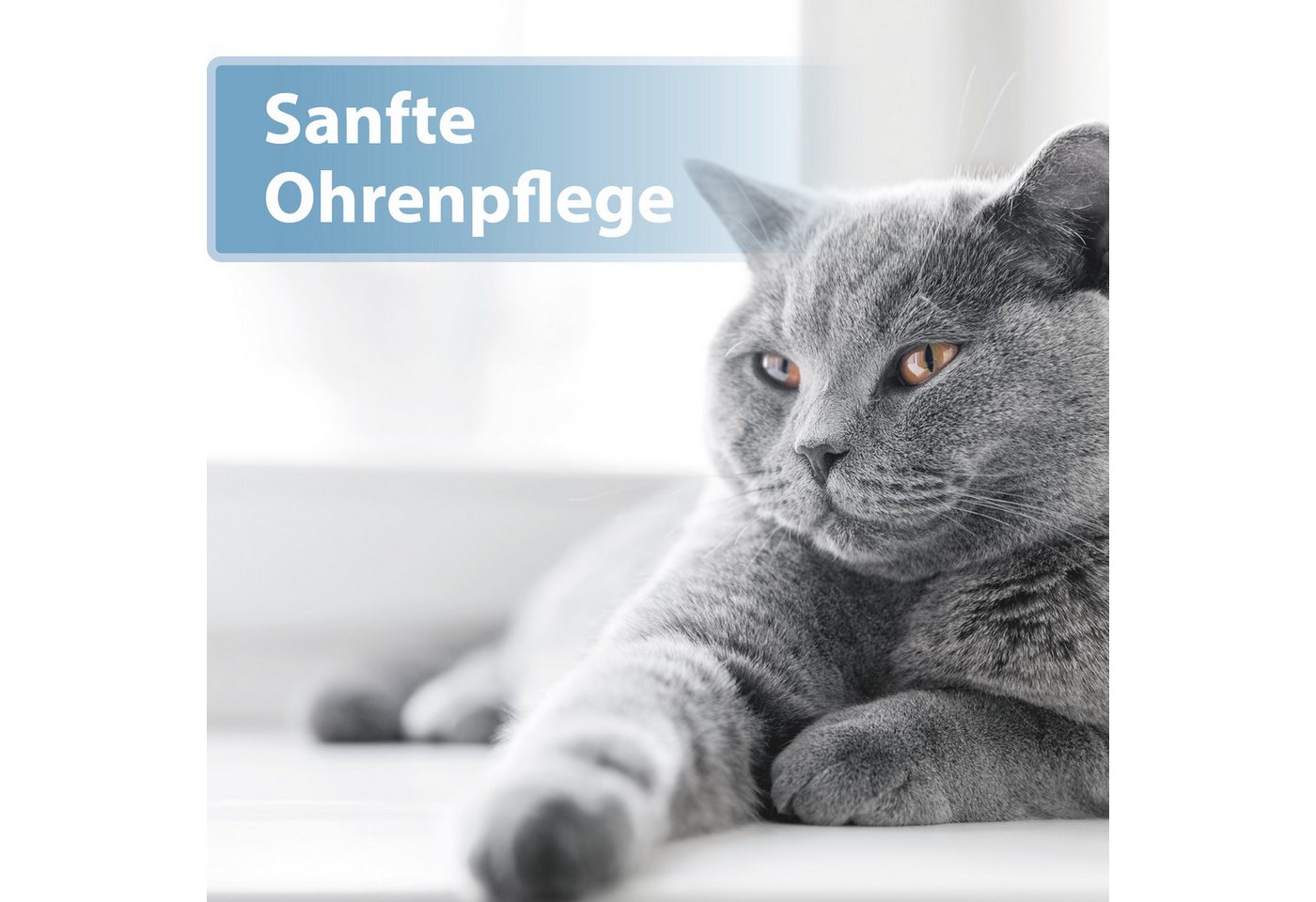 Thumbnail - Felisept Fellpflege Felisept Ohrpflege Finger-Pads für Katzen 50 Stück