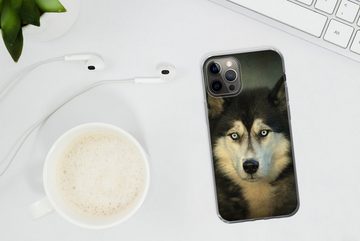 MuchoWow Handyhülle Husky schaut in die Kamera, Handyhülle Apple iPhone 12 Pro, Smartphone-Bumper, Print, Handy