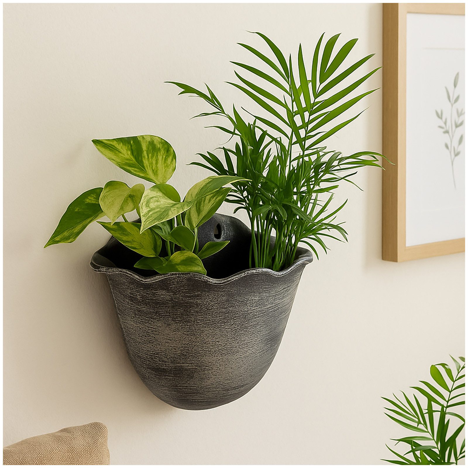 HTI-Living Pflanzschale Pflanzschale Nessa Muschel Wandmontage (Stück, 3 St., 3 Pflanzschalen), Blumentopf hängend Kunststoff