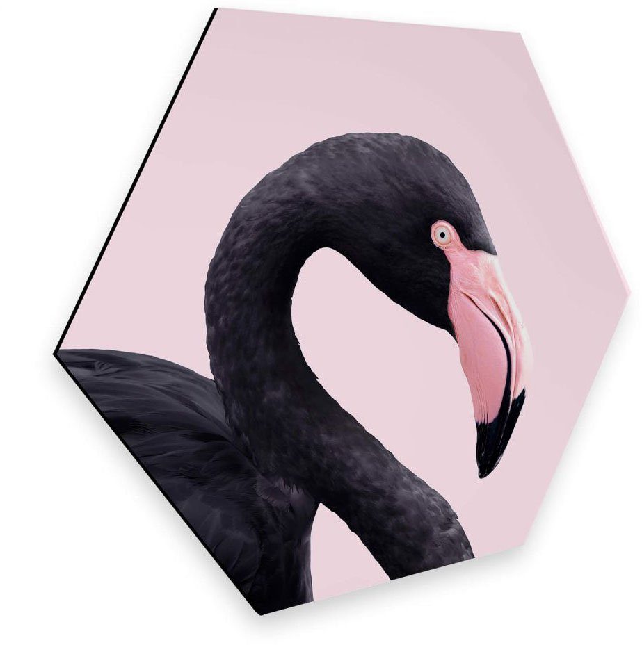 Metallbild Black (1 Flamingo Wall-Art Pink Rosa Hexagon, St)