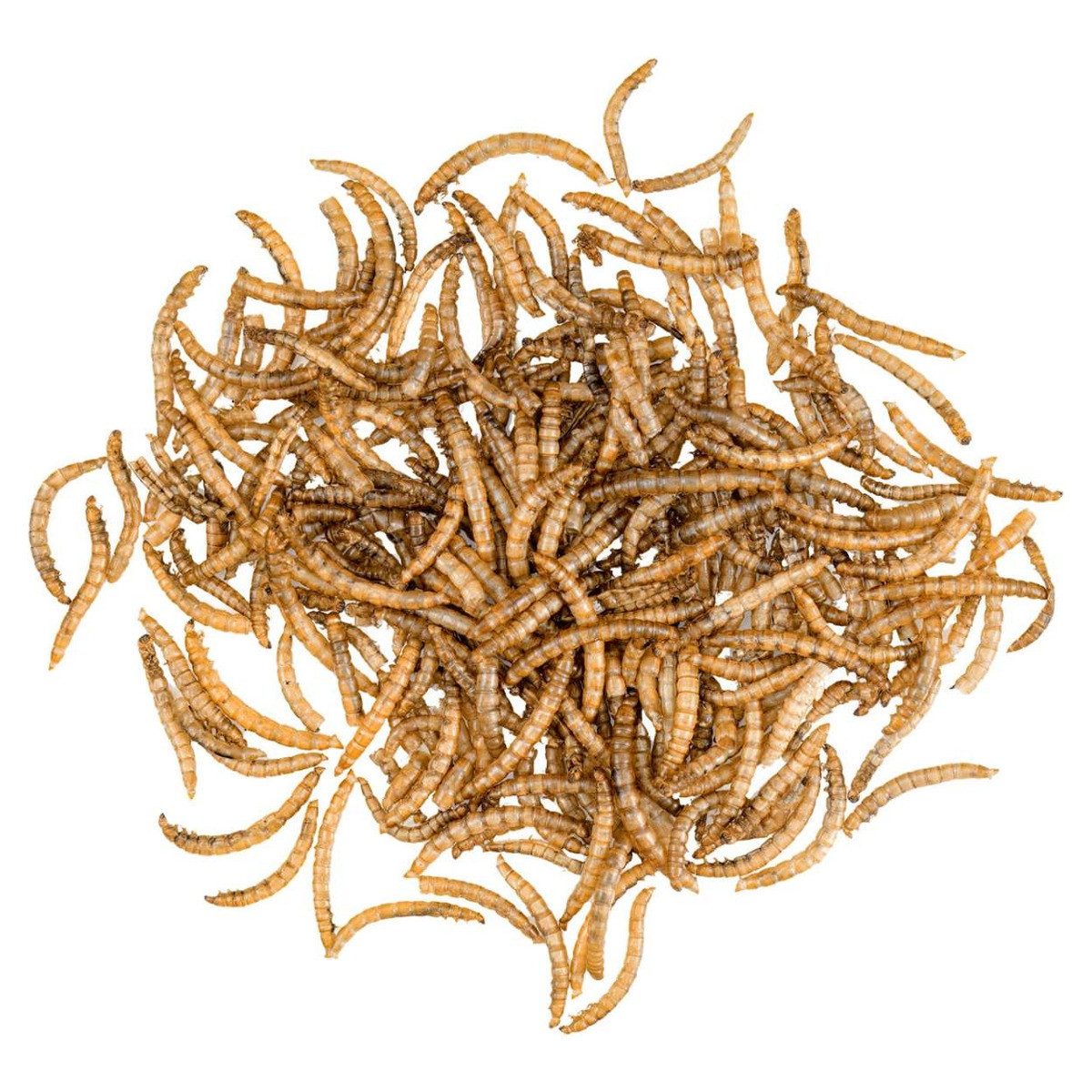 JR Farm Garden Mehlwürmer 400 g Eimer, für: Vogel