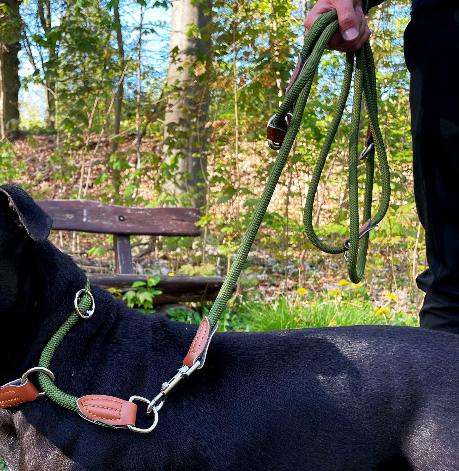 Leisegrün Hundeleine für große Hunde, 2m, 3-fach verstellbar, Nylon, Doppelleine für 2 Hunde, Führleine, Freihandleine, Kurzführer – Bild 5 von 5