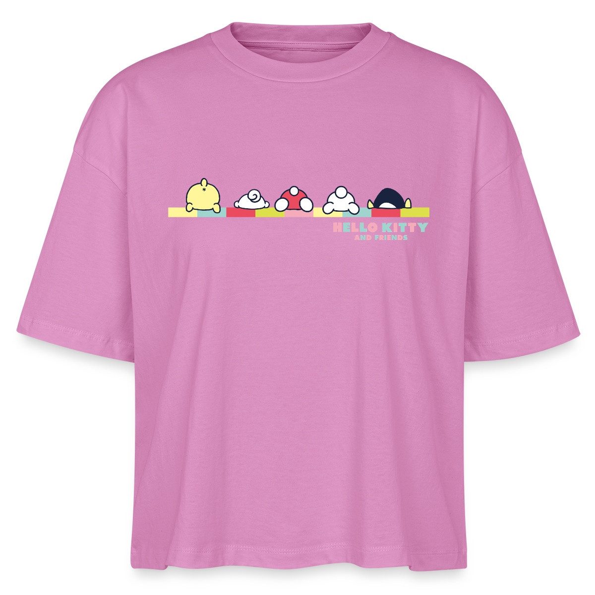 T-Shirt Hello Kitty And Friends Pose Boxy Shirt Damen
