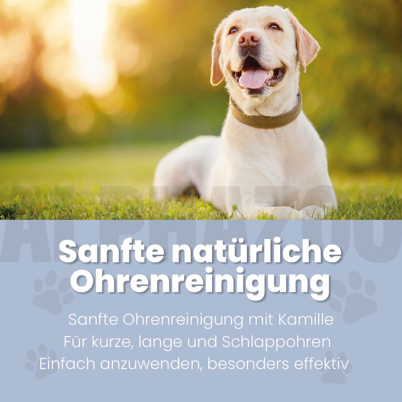 ALPHAZOO Ohrenreiniger Lauscher-Auf Ohrenreiniger für Hunde 250 ml, 1-tlg., Sanft Ohren reinigen und Ohrenschmalz entfernen I Ohrreiniger