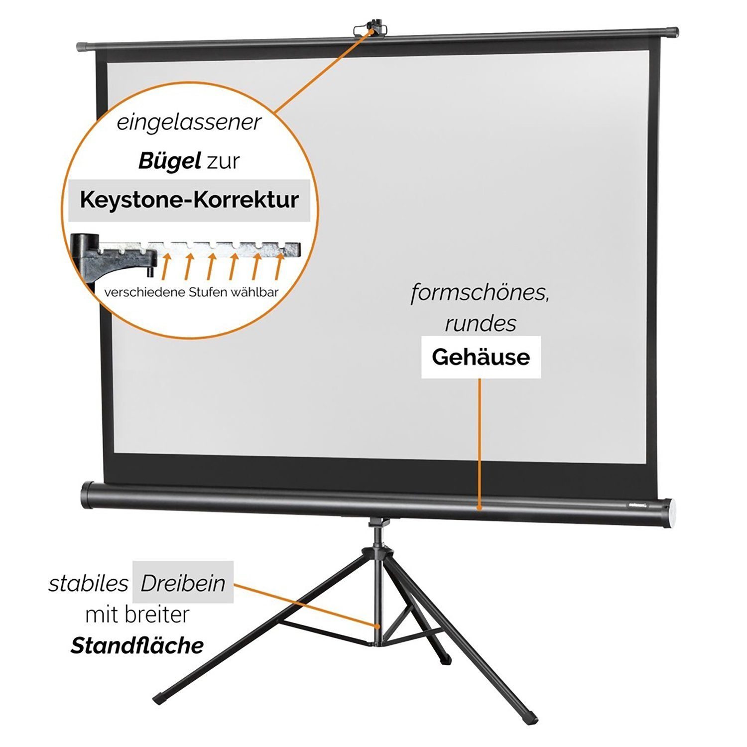 Celexon Economy Stativleinwand (schwarze Rückseite)