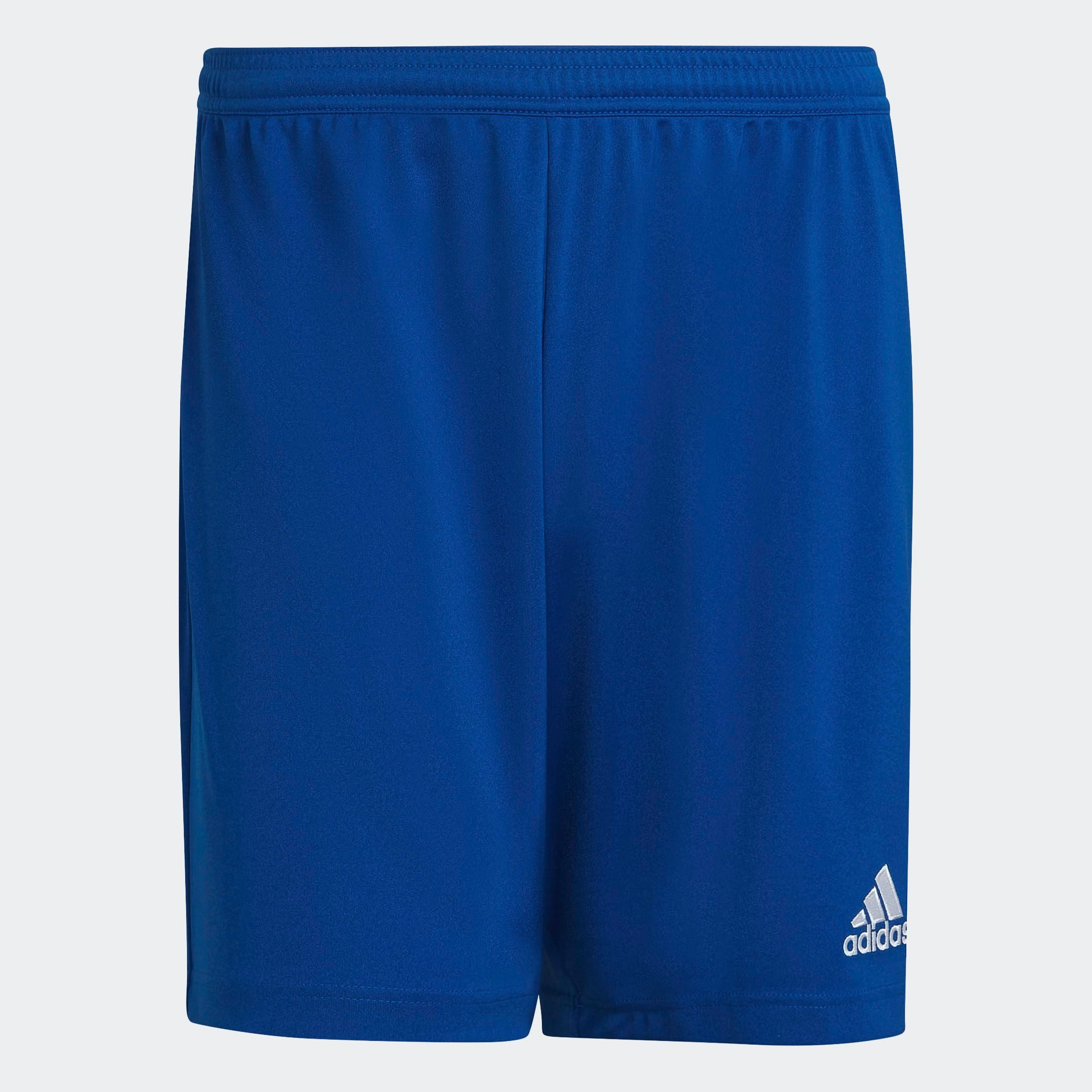 adidas Performance Trainingsshorts ENT22 SHO (1-tlg) günstig online kaufen
