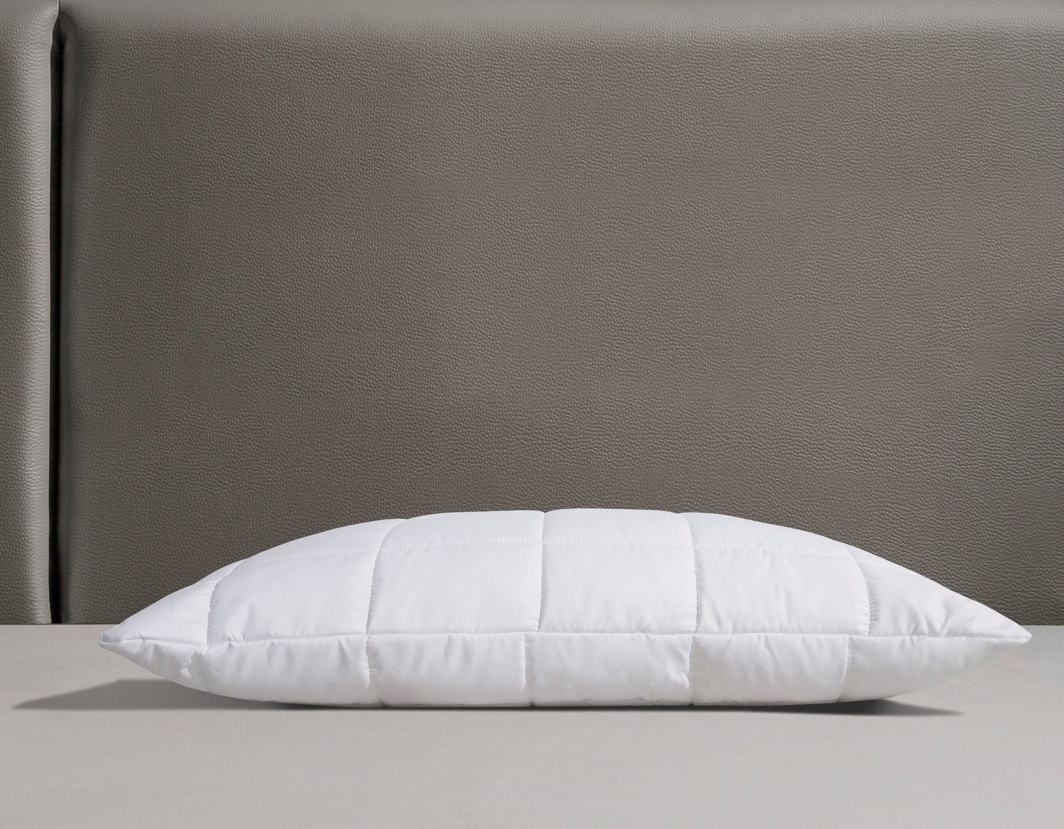 fan Microfaserkissen Komfort Plus, Füllung: 100% günstig online kaufen