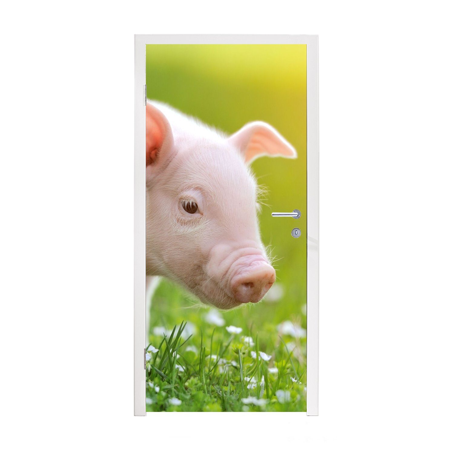 MuchoWow Türtapete Tiere - Ferkel - Schwein, Matt, bedruckt, (1 St), Fototapete für Tür, Türaufkleber, 75x205 cm | Türtapeten