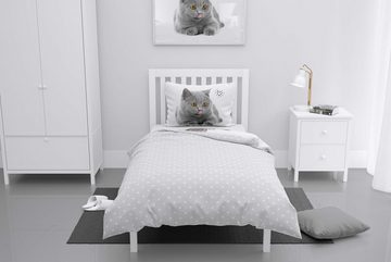 Bettwäsche süßes Katzenbaby Britisch Kurzhaar 135x200 cm, 80x80cm Baumwolle, Häßler Homefashion, Baumwolle, 2 teilig