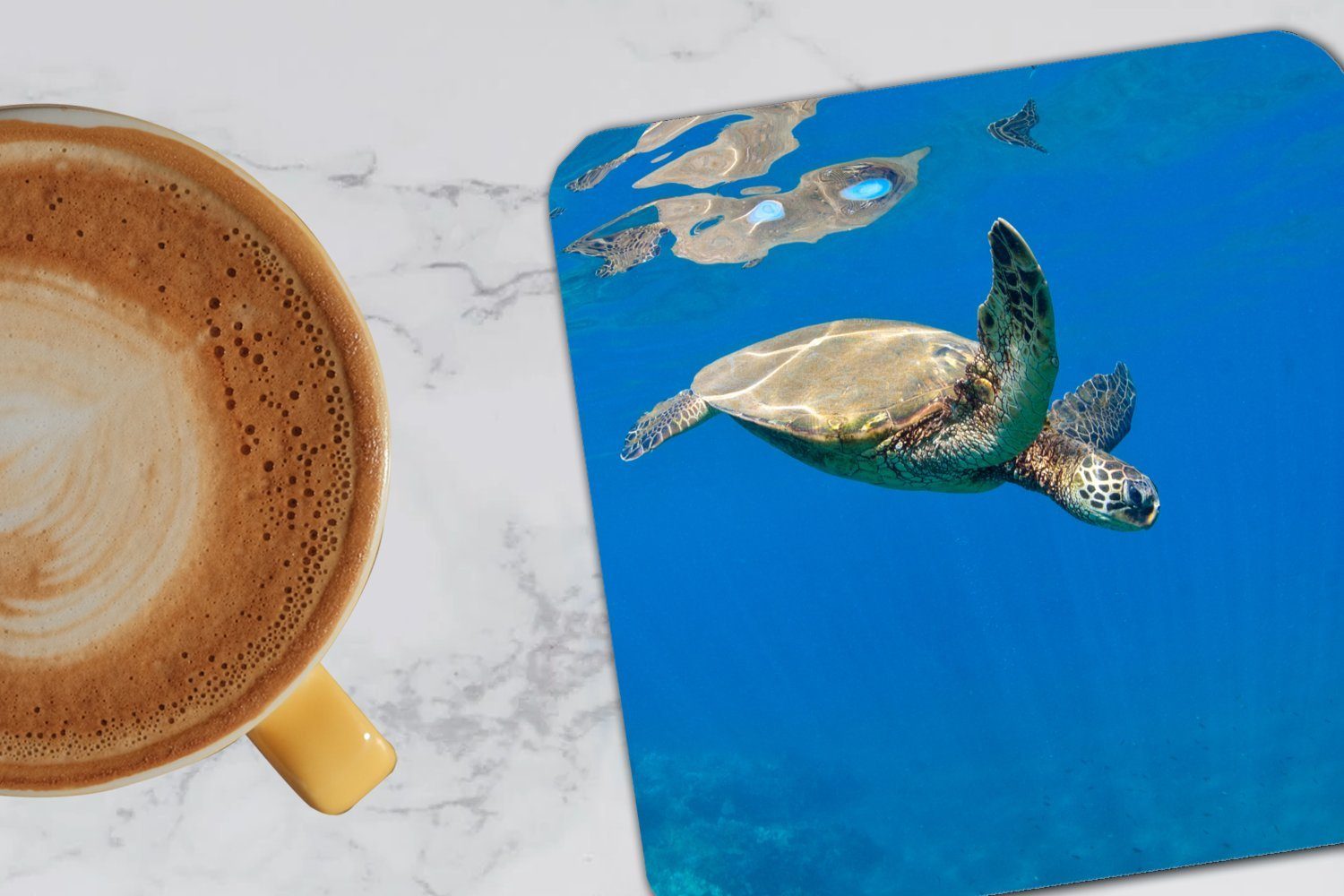 6-tlg., schwimmt im Schildkröte Zubehör MuchoWow Tasse Glasuntersetzer Glasuntersetzer, Gläser, für Tischuntersetzer, Meer, Untersetzer, Korkuntersetzer,
