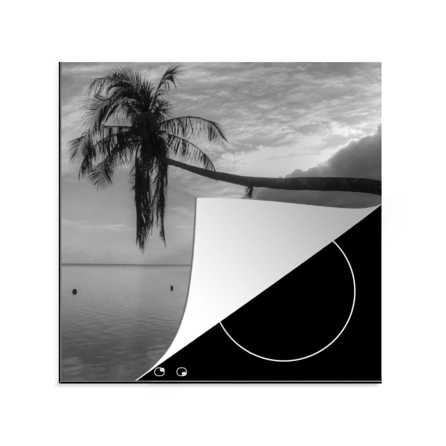 MuchoWow Herdblende-/Abdeckplatte Überhängende Palme am Strand von Mo'orea in schwarz-weiß, Vinyl, (1 tlg), 78x78 cm, Ceranfeldabdeckung, Arbeitsplatte für küche