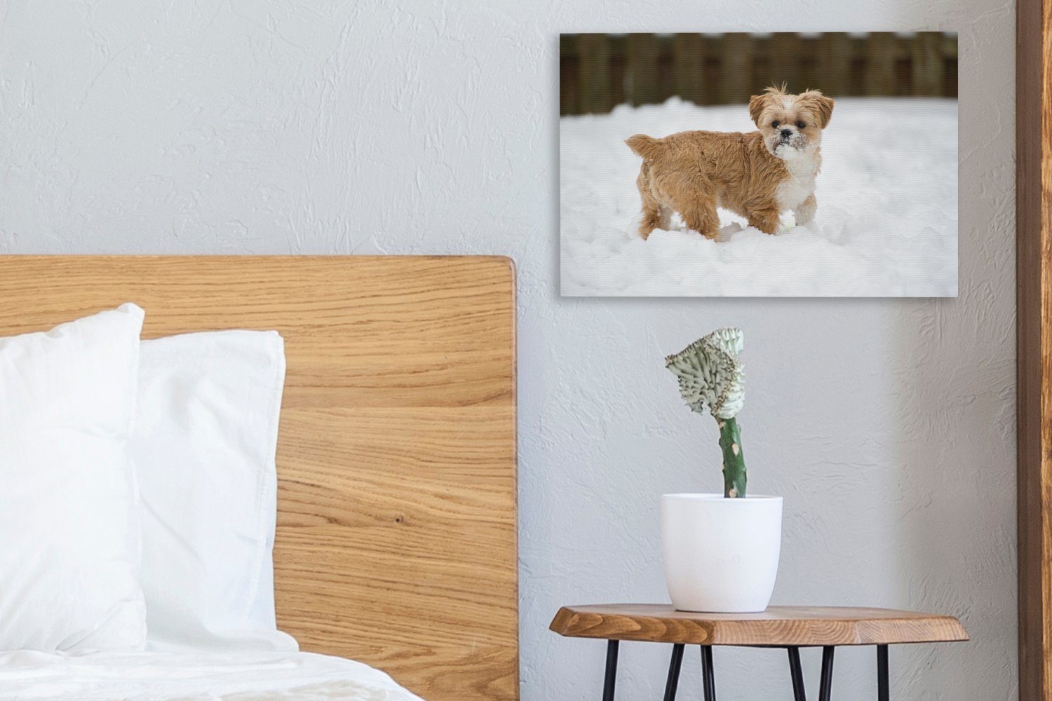 Schnee, Hund spielt cm St), Wandbild 30x20 Leinwandbilder, Aufhängefertig, OneMillionCanvasses® Leinwandbild im Wanddeko, Tzu Shih (1