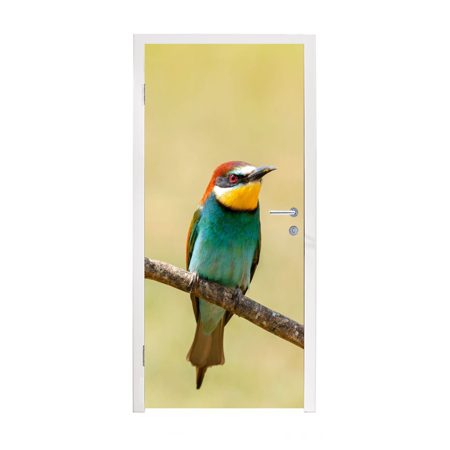 MuchoWow Türtapete Vögel - Tiere - Bienenfresser, Matt, bedruckt, (1 St), Fototapete für Tür, Türaufkleber, 75x205 cm | Türtapeten