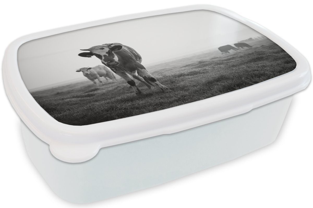 Kunststoff, im für und und Kinder (2-tlg), Foto, MuchoWow Brotdose, Kühe Jungs Morgennebel schwarz-weiß Mädchen Lunchbox Brotbox für Erwachsene,