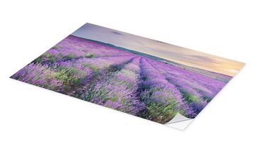 Posterlounge Wandfolie Editors Choice, Lavendel im Sonnenuntergang, Mediterran Fotografie